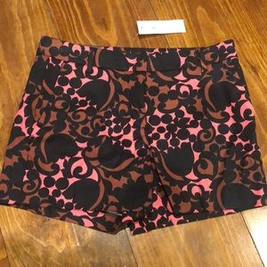 Ann Taylor Devin Short NWT